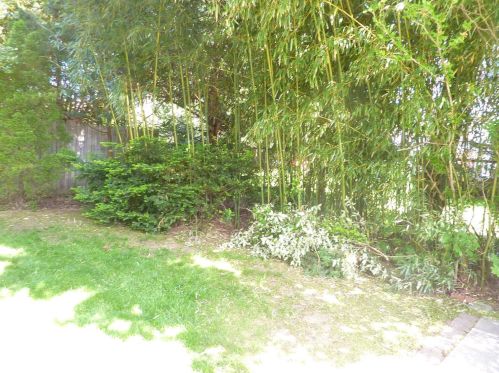 190 Willow St, East Brunswick NJ  08816-3138 exterior