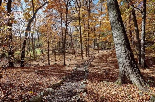 18 Patterson Brook Rd, Tuxedo Park NY  10987-4121 exterior