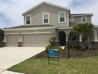 13004 30th St, Parrish FL  34219-1601 exterior