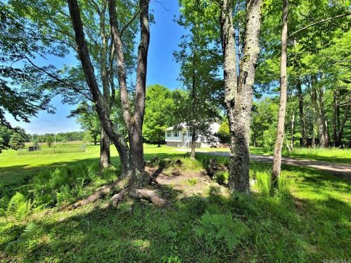 218 Burr Rd, Cochecton, NY 12726-5122