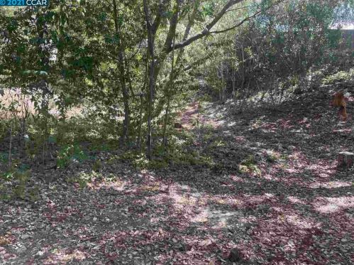 24 Tarabrook Dr, Orinda CA  94563-3121 exterior