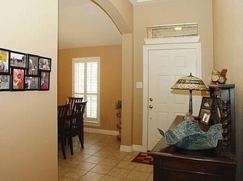 313 Parakeet Dr, Oak Point TX  75068-8496 exterior