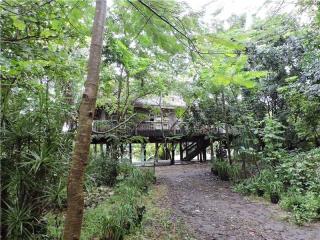 21750 232nd St, Miami, FL 33170-4836