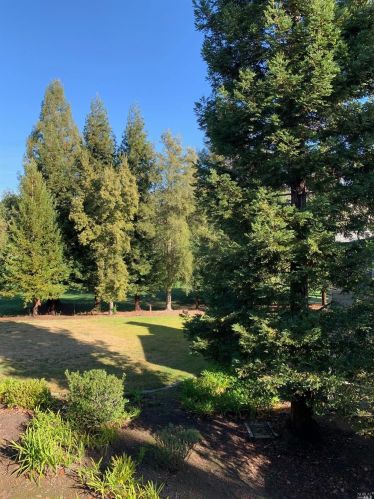 2082 Stonefield Ln, Santa Rosa CA  95403-0951 exterior