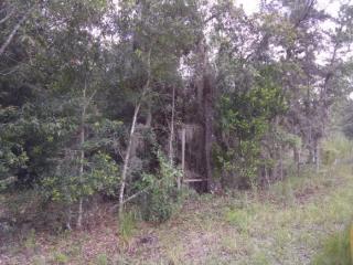 5226 Muzzle Loaders Ct, Inverness, FL 34452-7800