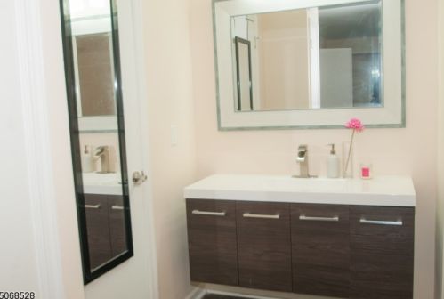 15 Encampment Dr, Bedminster NJ  07921-1835 exterior