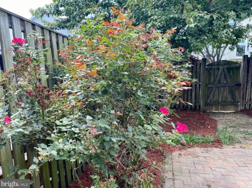 179 Dunlap Dr, Charles Town WV  25414-6509 exterior