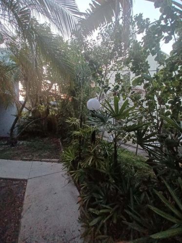 1114 17th Ave, Hollywood FL  33020-3612 exterior