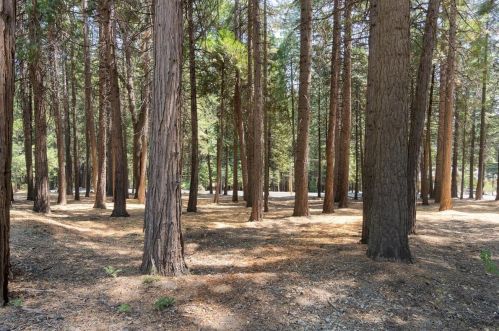 6832 Retreat Ln, Pacific House CA  95726-9465 exterior
