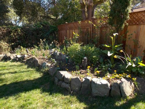 1564 Cunningham Way, Santa Rosa CA  95403-2342 exterior