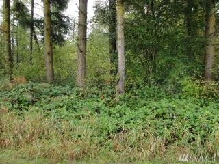 38419 Mountain Hwy, Alder, WA 98328