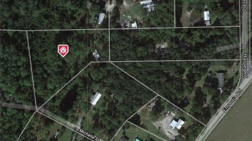 1150 Michelle St, Pierson, FL 32180-2768