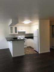 12007 17th Ave, Seattle WA  98125-5115 exterior