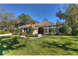 5504 Branch Oak Pl, Lithia, FL 33547-4801