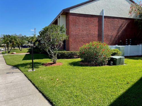 206 Caryl Way, Oldsmar, FL 34677-2203
