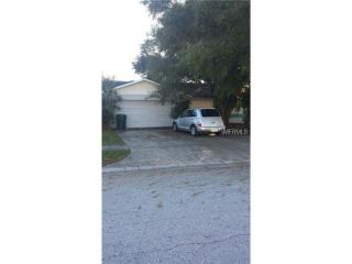 1345 Winding Brook Way, Dunedin, FL 34698-3851