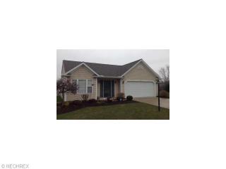 4625 Pebble Creek Pass, Brunswick, OH 44212-5716
