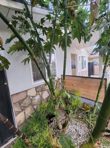 4756 Fir St, Pico Rivera CA  90660-2222 exterior