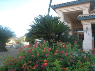 6111 Wagoner Rd, Glendale, AZ 85308-1150