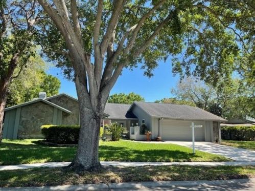 410 Holly Hill Rd, Oldsmar, FL 34677-2023