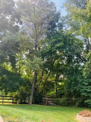 2862 Landings Way, Idlewild KY  41005-7959 exterior