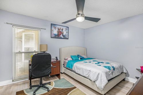 3460 Snowy Egret Ct, Palm Harbor FL  34683-2231 exterior