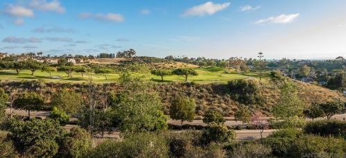 1355 Ravean Ct, Encinitas CA  92024-6204 exterior