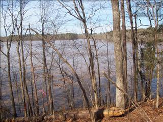 171 Saluda Bluff Rd, Batesburg-Leesville, SC 29006