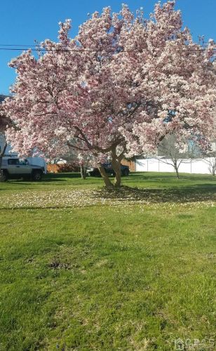 229 Delmore Ave, South Plainfield NJ  07080-3207 exterior