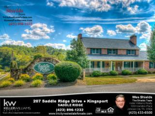 207 Saddle Ridge Dr, Kingsport, TN 37664-4780