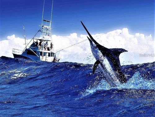 15408 Bama Breeze Pl, Wimauma FL  33598-2215 exterior