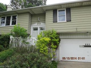 865 Wellmon St, Cleveland, OH 44146-3876