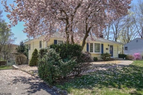 18 Sunnybrook Rd, Bernardsville NJ  07924-2713 exterior