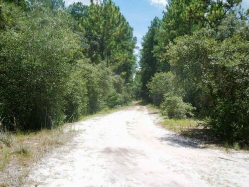 140 Arden St, Georgetown, FL 32139-2200