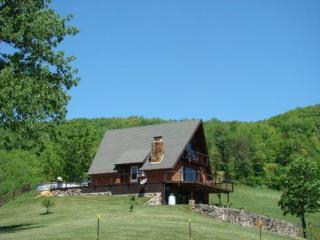 2655 Shady Branch Cir, Narrows, VA 24124-2928