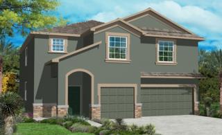 1706 Palm Warbler Ln, Ruskin, FL 33570-7958