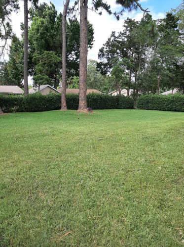 21 Fillmore Ln, Palm Coast, FL 32137-8485