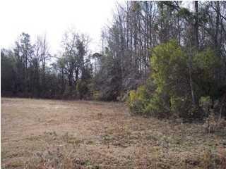 247 Sassafras Ct, Walterboro SC  29488 exterior