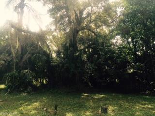 21380 Pearl St, Alva, FL 33920-5534