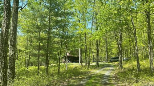 187 Mapes Rd, Barryville, NY 12719-5626