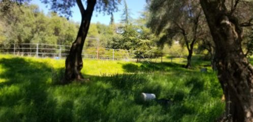 1500 Gold Hill Rd, Newcastle CA  95658-9245 exterior