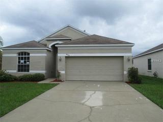 24601 Volterra Ct, Lutz, FL 33559-7362