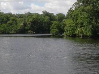 157 Bayou Dr, Satsuma FL  32189-2701 exterior