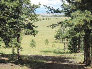 3863 Campfire Rd, Hartsel, CO 80449-9601
