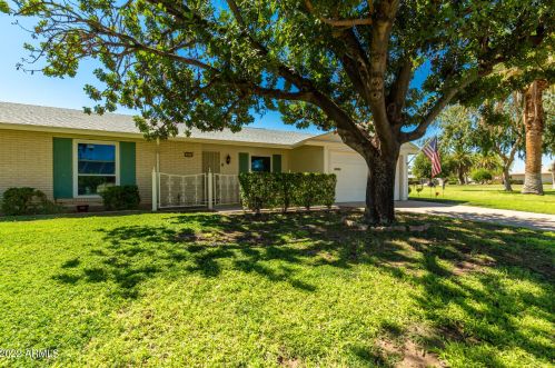 10215 Kingswood Cir, Sun City, AZ 85351-1938
