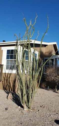 1643 Vly Dr, Mohave Valley AZ  86440-8583 exterior
