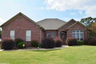 53 Colt Loop, Mcgintytown, AR 72058-9197