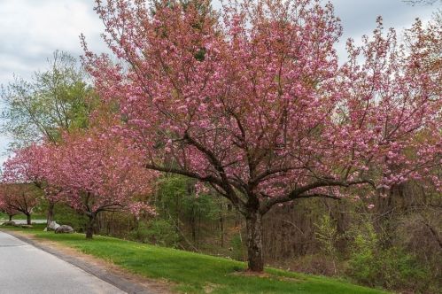 124 Tennis Plaza Rd, Dracut MA 01826-6332 exterior