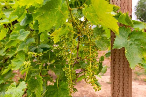 3360 Big Spg Ave, Simi Valley CA 93063-1316 exterior