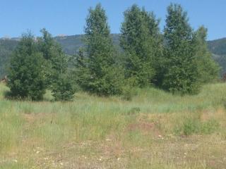 43 Scott Dr, Fox Creek, ID 83455-5539